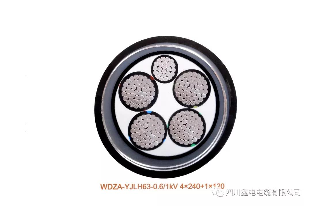 微信图片7817.jpg