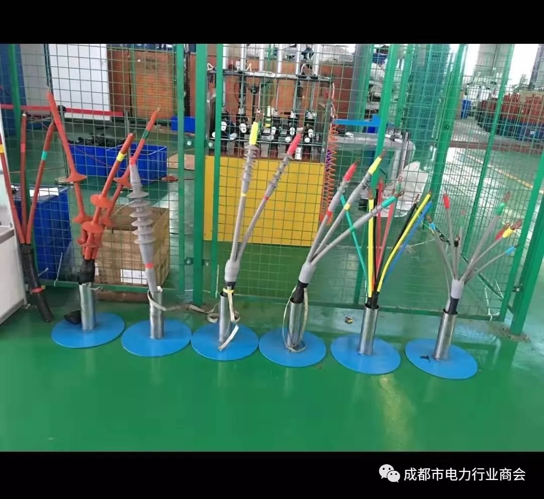 640122.webp.jpg