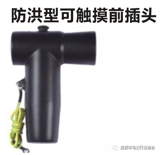 640131.webp.jpg